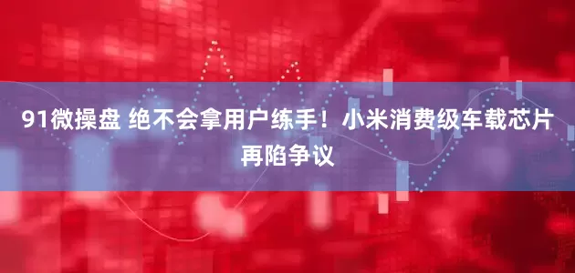 91微操盘 绝不会拿用户练手！小米消费级车载芯片再陷争议